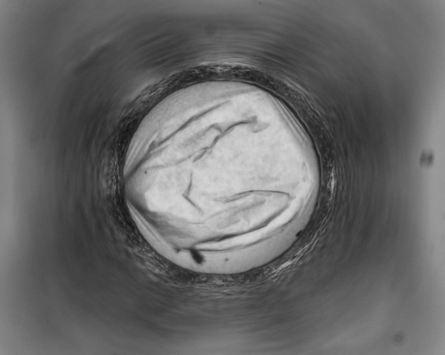 X0000099451014200806061101