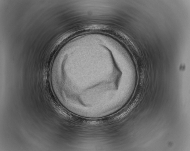 X0000099451017200806061101