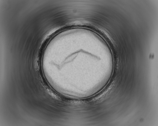 X0000099451018200806061101