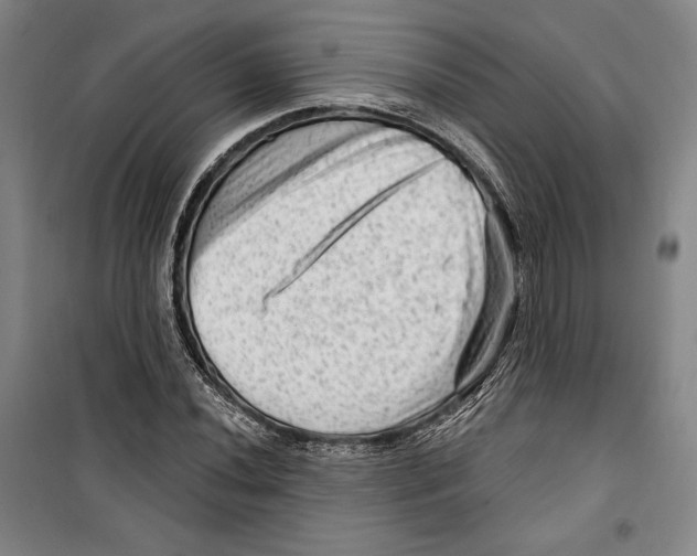 X0000099451020200806061101