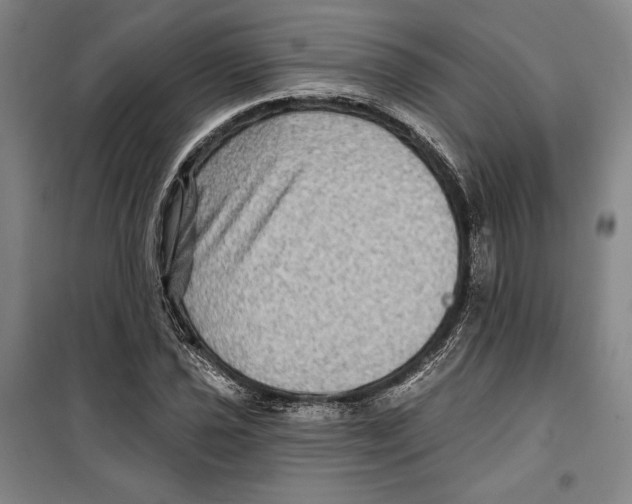 X0000099451021200806061101