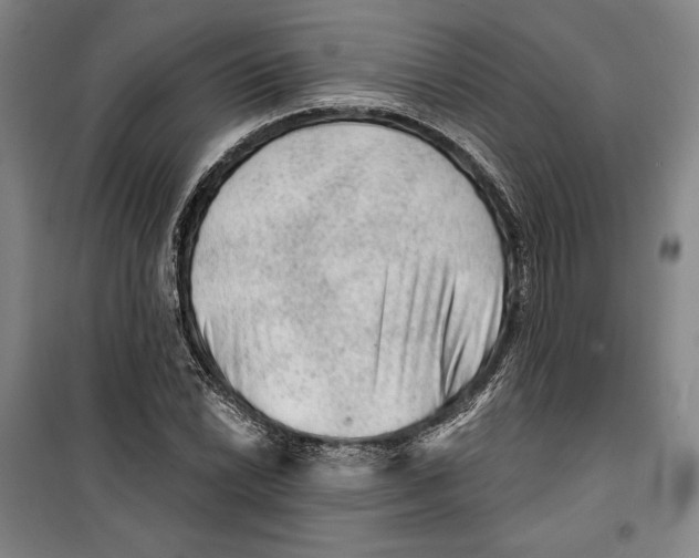 X0000099451022200806061101