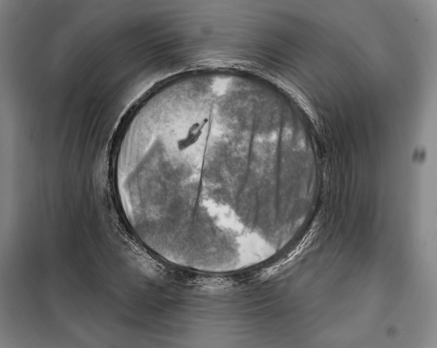 X0000099451023200806061101