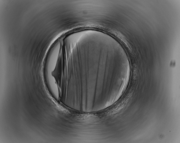 X0000099451024200806061101