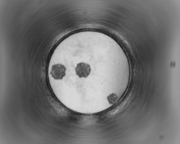 X0000099451025200806061101