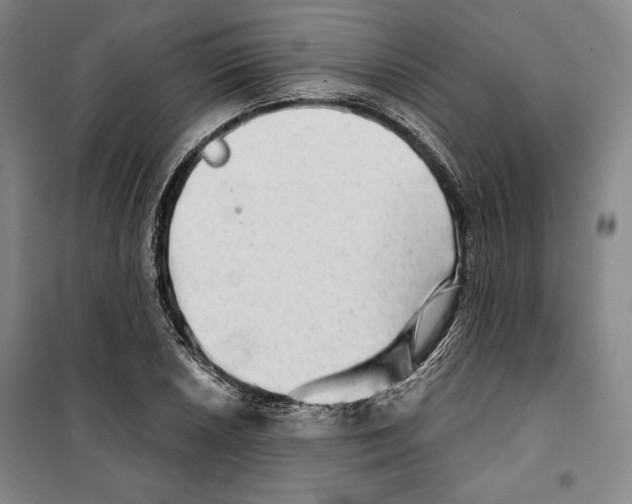 X0000099451026200806061101