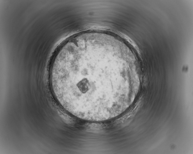 X0000099451027200806061101