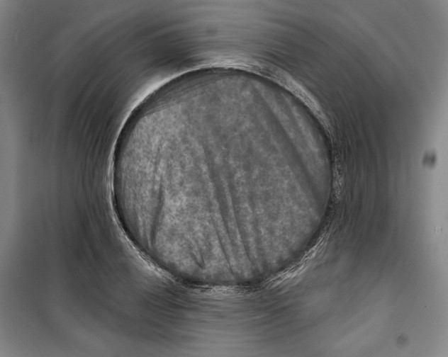 X0000099451028200806061101