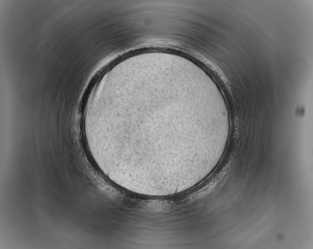 X0000099451029200806061101