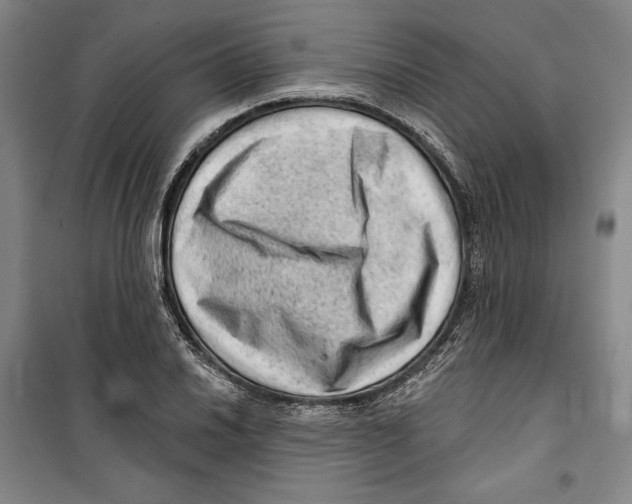 X0000099451030200806061101