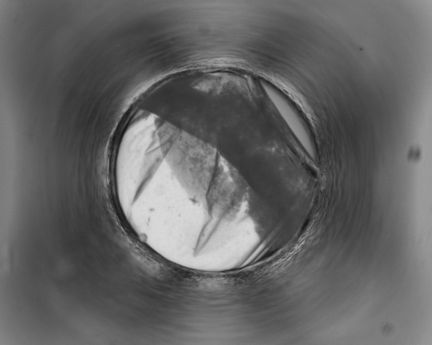 X0000099451031200806061101