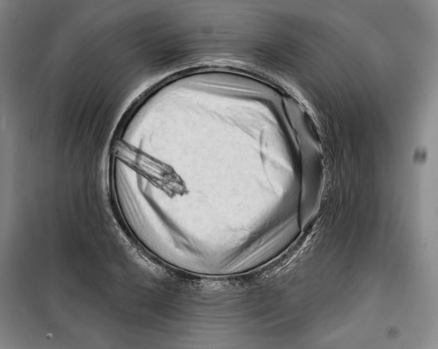 X0000099451032200806061101