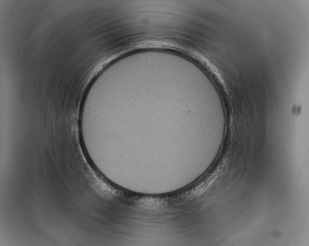 X0000099451033200806061101