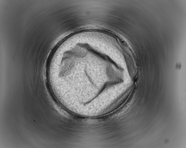 X0000099451034200806061101