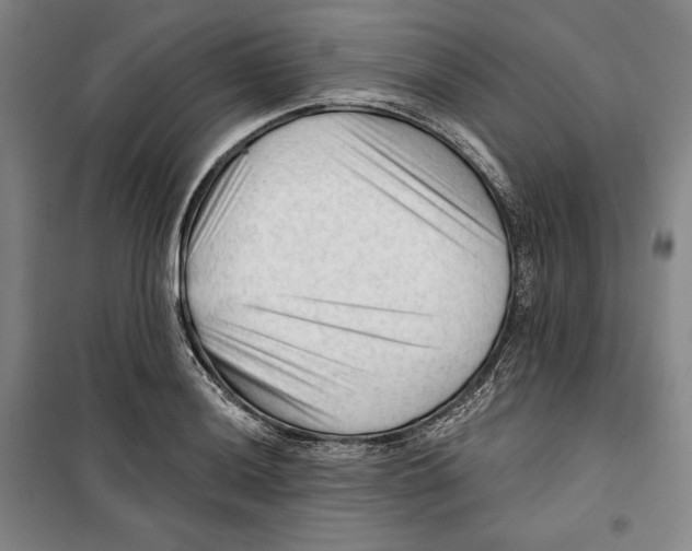 X0000099451036200806061101