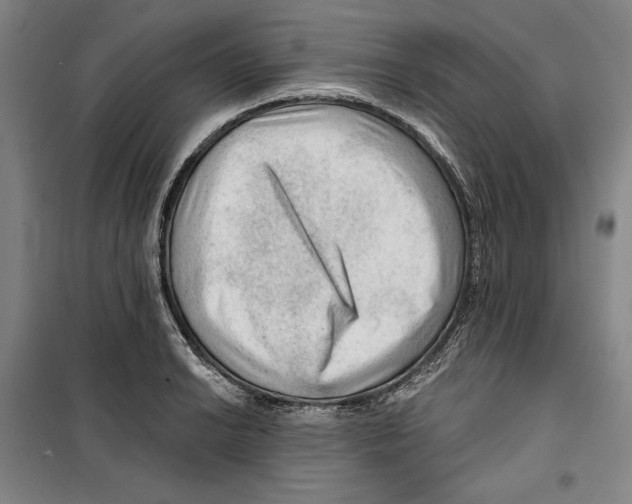 X0000099451038200806061101