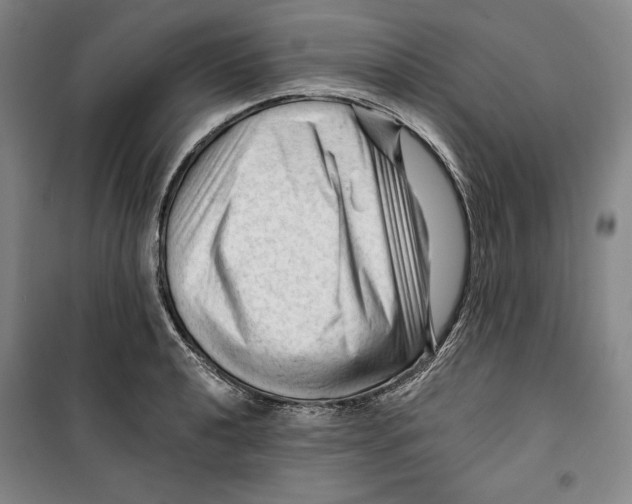 X0000099451040200806061101