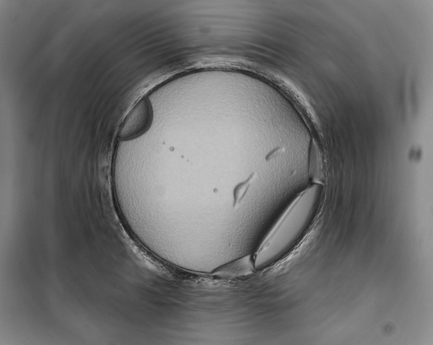 X0000099451041200806061101