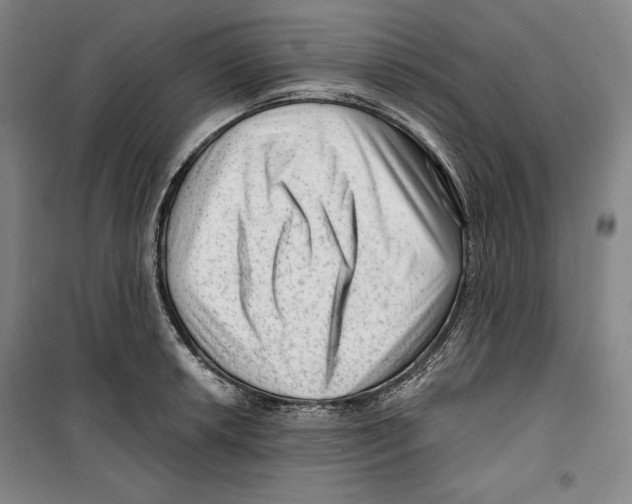 X0000099451042200806061101