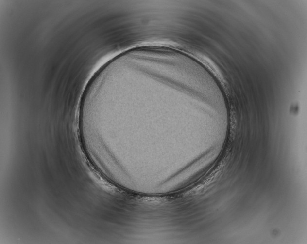 X0000099451044200806061101