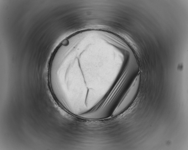 X0000099451046200806061101