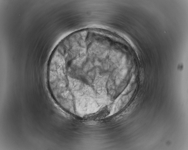 X0000099451048200806061101