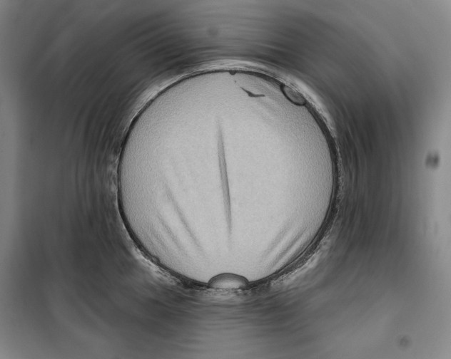 X0000099451049200806061101