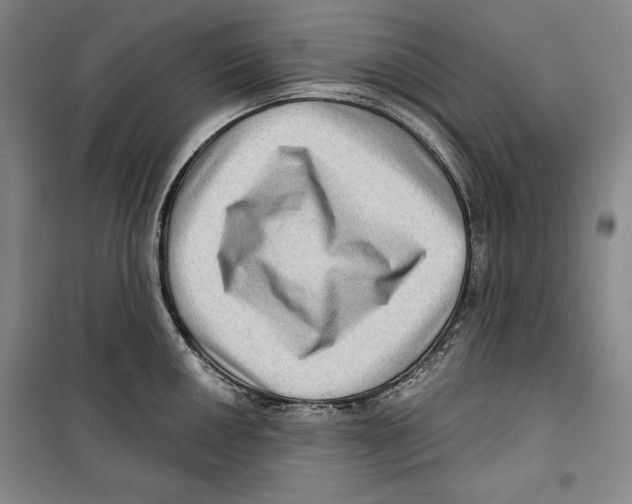 X0000099451050200806061101