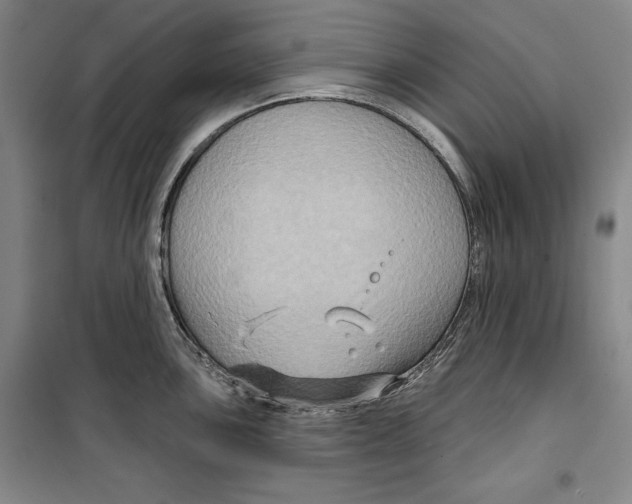 X0000099451051200806061101