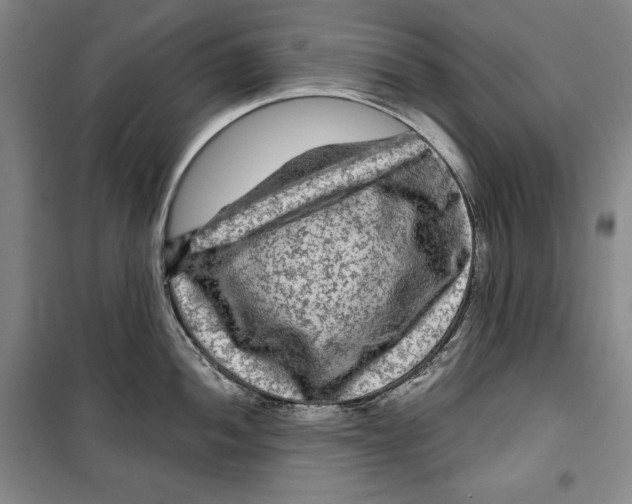 X0000099451052200806061101