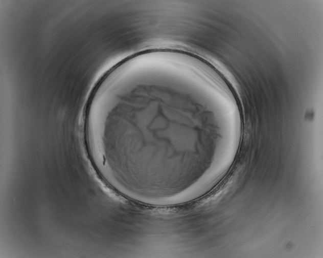 X0000099451053200806061101