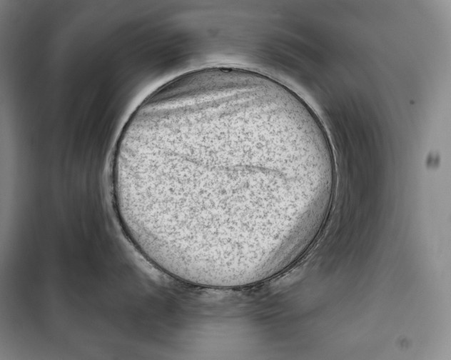 X0000099451056200806061101