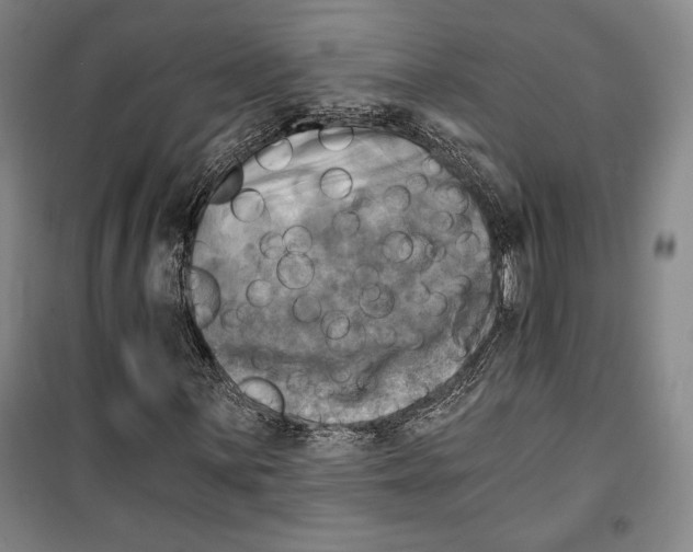 X0000099451059200806061100