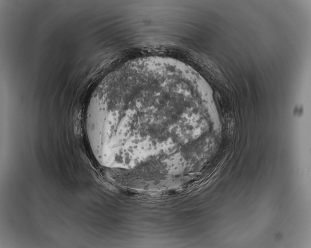 X0000099451060200806061100