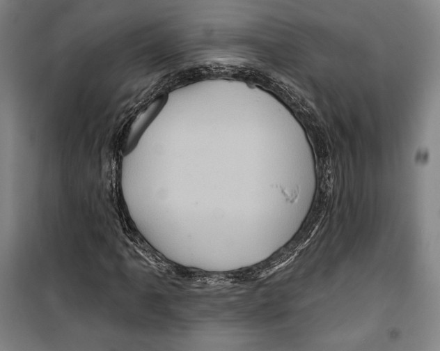 X0000099451061200806061100