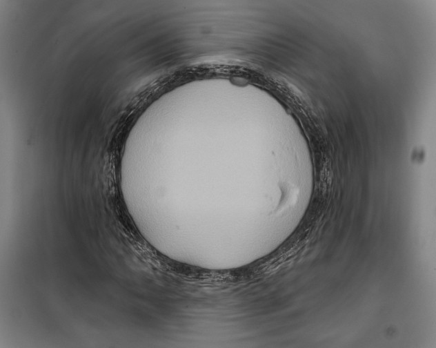 X0000099451062200806061100