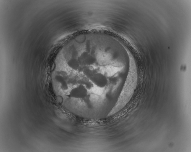 X0000099451063200806061100