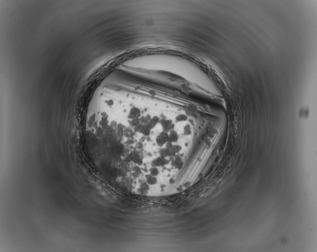 X0000099451064200806061100