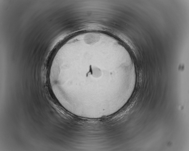 X0000099451067200806061100