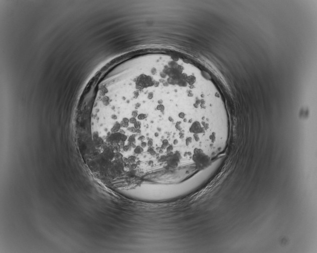 X0000099451068200806061100