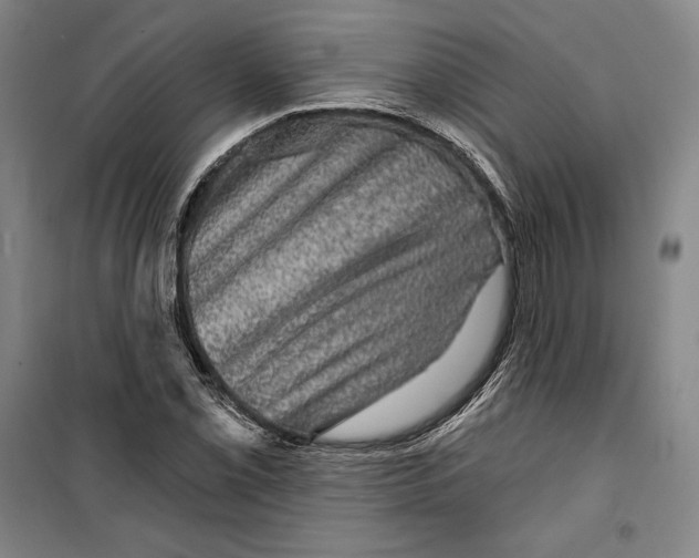 X0000099451069200806061100