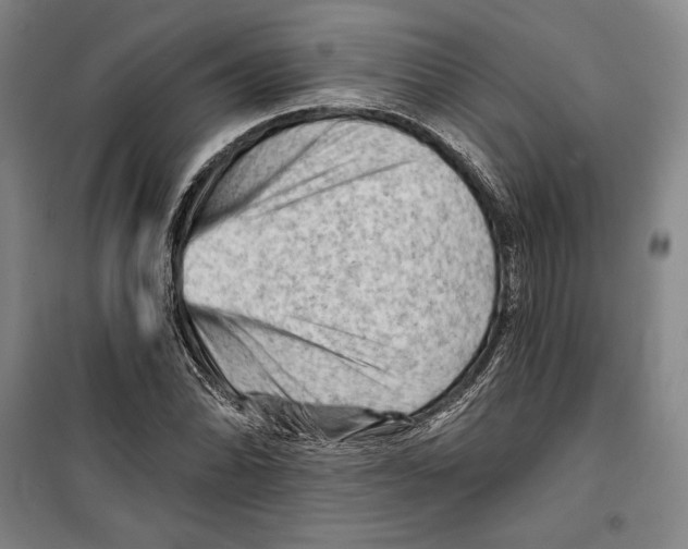 X0000099451070200806061100