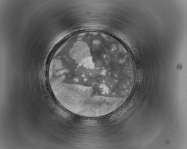 X0000099451071200806061100