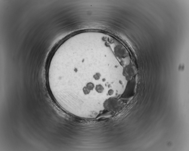 X0000099451072200806061100