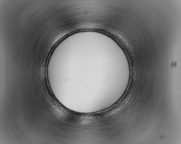 X0000099451073200806061100