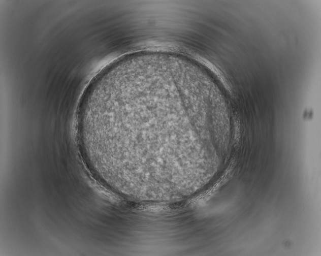 X0000099451074200806061100