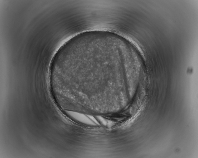 X0000099451077200806061100