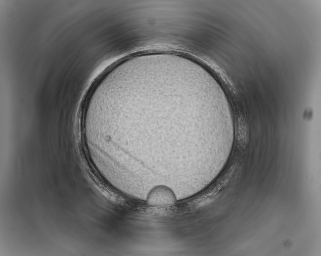 X0000099451078200806061100