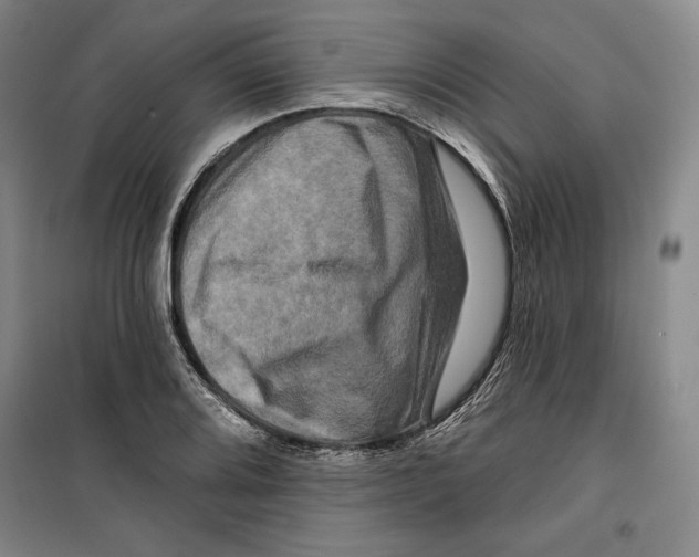 X0000099451080200806061100