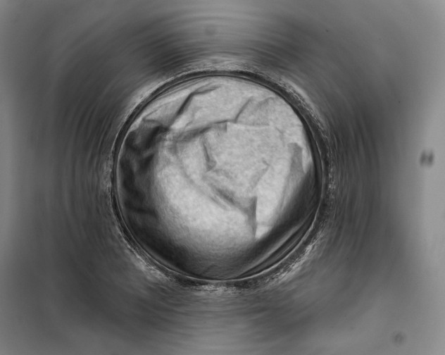 X0000099451081200806061100